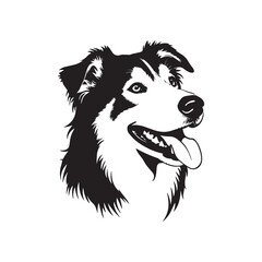Border Collie Dog Portrait in Black and White
