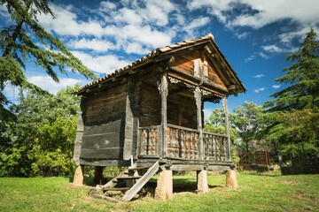 Traditional wooden hut on stilts in Georgia, showcasing ethnic architecture and rustic charm under a dramatic summer sky