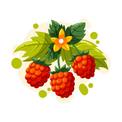 Red raspberries vector illustration with leaves and flower. Cartoon berries for garden, summer harvest, food and healthy lifestyle.