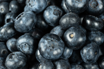 Macro View of Organic Blueberries. Natural Berry Background.