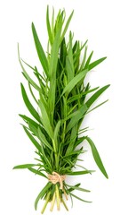 Fototapeta premium Fresh bunch of vibrant green tarragon