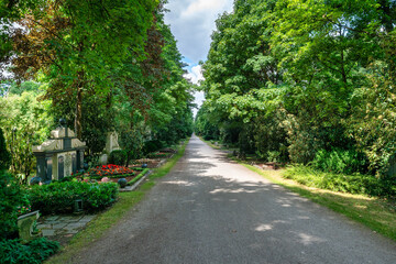 Hauptweg zur Kapelle auf dem Ostfriedhof München