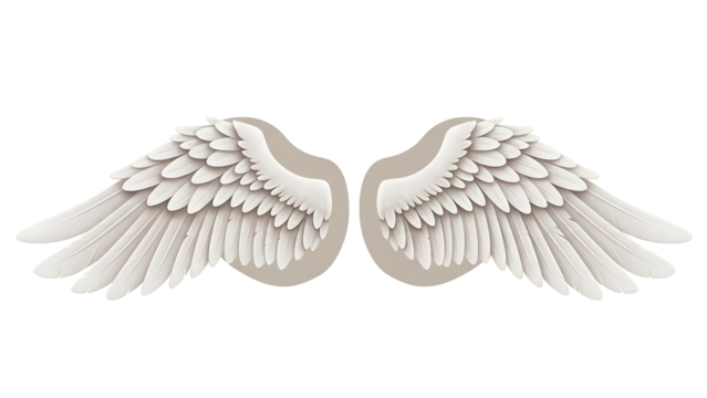 Pair of detailed, stylized angel wings, light beige/white, spread wide