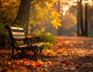 Autumn park bench bathed in sunlight (1)