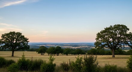 Obraz premium Golden Hour Landscape with Silhouetted Trees and Rolling Hills.