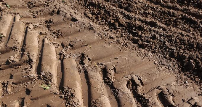 traces of a tractor on the soil of a field during tillage, soil in a field with traces of passing heavy agricultural machinery after tillage
