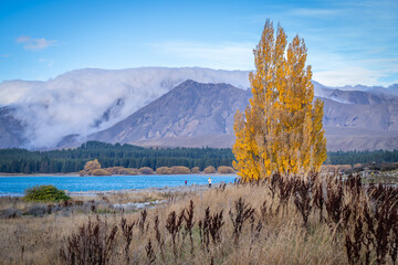 people enjoy beautiful landscape view of colorful leaves , turquoise lake and  snow cap moutain...
