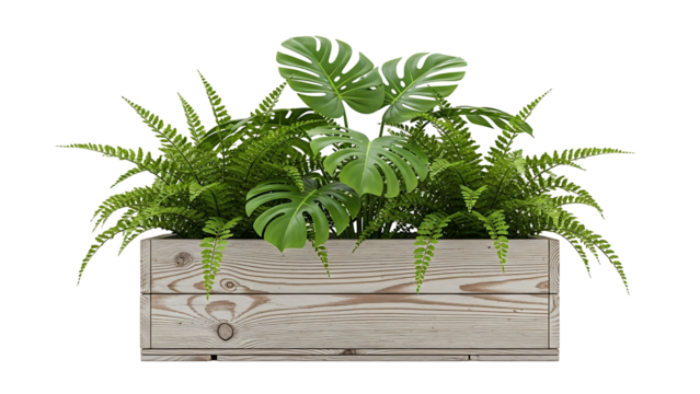 Wooden planter box filled with lush greenery (3)