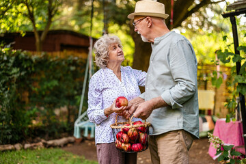 Senior couple holding a basket full of fresh organic apples in the garden
