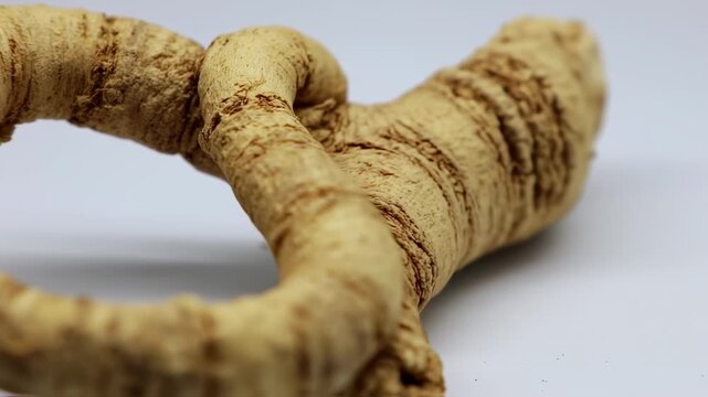 Close-up of a dried, light beige root, intricately twisted and textured