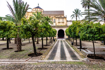 Obraz premium Mezquita Garden. View of the Patio de los Naranjos at the Mezquita of Cordoba. The mezquita, or now Cordoba Cathedral, was once the second largest mosque in the world. It was later converted to a cath