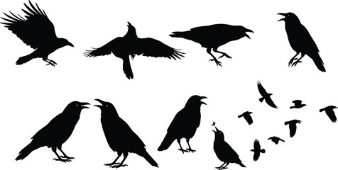 Crow and raven silhouette illustration, bird artwork, flying flock vector, corvid drawing, wildlife design, nature study, symbolic bird, gothic art