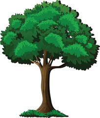 A single hand-drawn style tree with detailed canopy and simple grassy base.