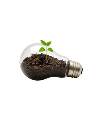 Glass lightbulb filled with soil and a green seedling isolated on a transparent background