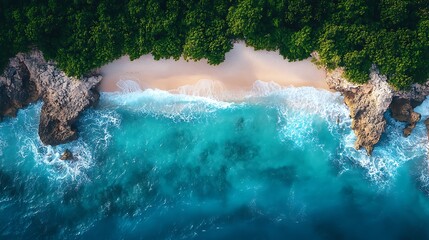 Aerial view of a tropical island coastline with lush green trees and turquoise water