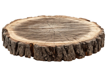 A thick, round wood slice, showing concentric rings and rough bark edges, isolated on a black background
