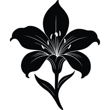 Black and White Lily Flower Silhouette floral botanical plant design element illustration vector graphic monochrome nature simple