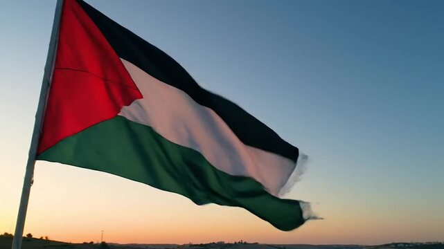 Palestine flag waving against the sky during sunset