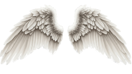 Pair of detailed, light gray angel wings (1)
