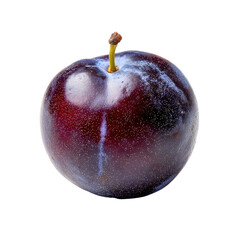 Close-up of a single, dark purple plum