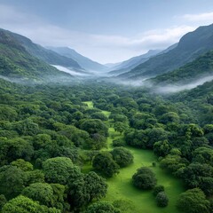Adventure in the lush jungle valley aerial view of green nature bathed in morning mist