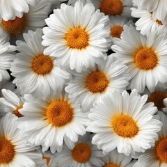 Fototapeta premium Seamless photorealistic background of vibrant white daisy flowers with orange centers.