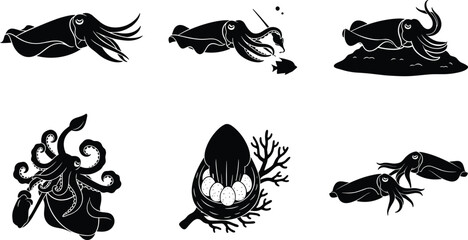 Squid silhouette illustration, marine life artwork, ocean animal drawing, cephalopod vector, squid behavior, biology study, seafood design, underwater creature graphic