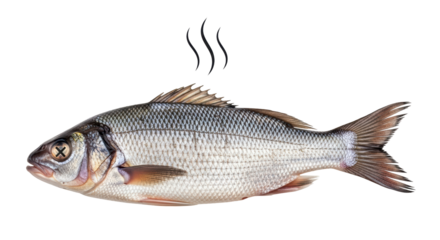 Isolated, cooked fish has steam above it, with an x over one eye and laid on its side