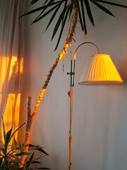  Minimalist interior featuring a sleek floor lamp and a single potted plan.