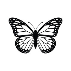 Fototapeta premium Detailed Butterfly Silhouette Vector Illustration Black Design: Intricate Wing Patterns Captured in a Stunning Vector Graphic for Creative Projects