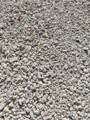 Gravel Surface – Natural Ground Texture with Mixed Light-Colored Stones