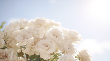 Dreamy white rose bouquet softly focused against a blue sky, evoking serenity and natural beauty. gardening catalogs, home-decor guides, designed for home decor and floral branding.
