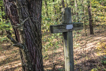 Old cemetery in Pripyat ghost city in Chernobyl Exclusion Zone, Ukraine