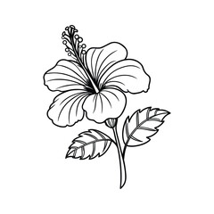 Tropical Hibiscus Flower Line Art Outline Design.