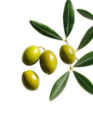 Three green olives and a sprig with leaves, isolated on black.  High-resolution, close-up image showing detail and texture