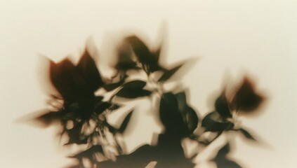 Abstract, sepia-toned image of blurred, dark shapes resembling leaves, creating a sense of quiet mystery.