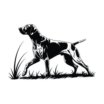 Elegant German Shorthaired Pointer Silhouette Illustration A Striking Black Vector Design of a Hunting Dog in Profile on Grass for Graphic Projects