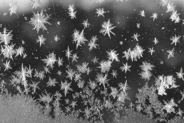 Obraz premium Frost patterns on a windowpane (4)