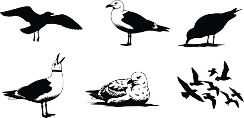 Seagull silhouette illustration, flying seagull, standing seagull, coastal bird art, seabird wildlife drawing, ocean animal design, nature shorebird graphic