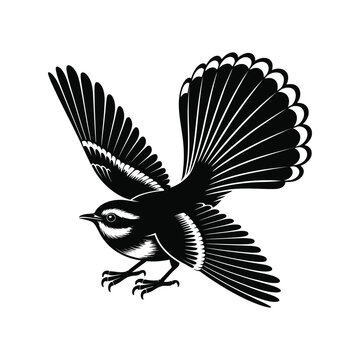 Detailed Fantail Silhouette Illustration A Dynamic Black Vector Design of a New Zealand Bird in Flight Against a Clean White Backdrop for Creative Projects