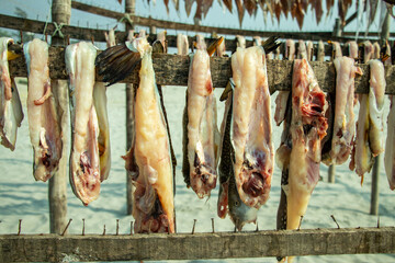 A rustic wooden frame holds split fish hanging to dry