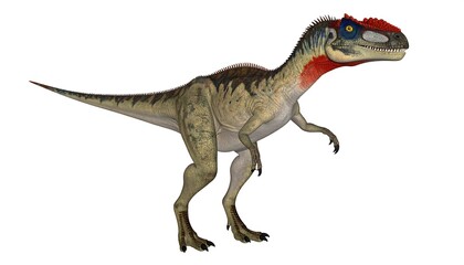 Obraz premium Dinosaur profile, prehistoric creature