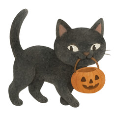black cat bite a pumpkin on halloween