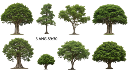 Nine diverse trees in varying sizes and shapes