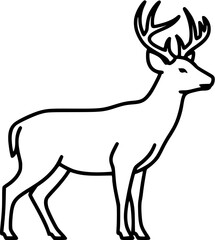 Obraz premium buck deer isolated on white background 