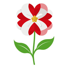  nemesia strumosa danish flower  vector on white background