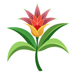 nierenbergia frutenscens flower vector on white