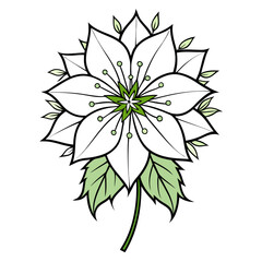 nigella line art  vector on white background