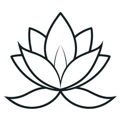  nymphaea odorata flower line art vector on white background