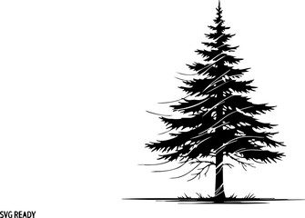 Majestic evergreen pine tree silhouette stands tall against a clean backdrop, evoking nature's enduring beauty and outdoor serenity.
